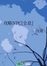 攻略NPC[全息]