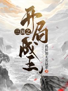 三国之开局成王孤狼加无名鼠辈