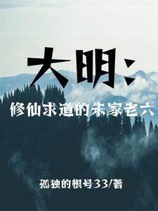 大明：修仙求道的朱家老六孤独的根号33