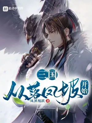 三国：从落凤坡开始凤溪凰跃