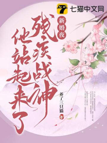 新婚夜，残疾战神他站起来了养了三只猫