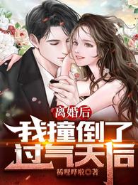 离婚后，我撞倒了过气天后