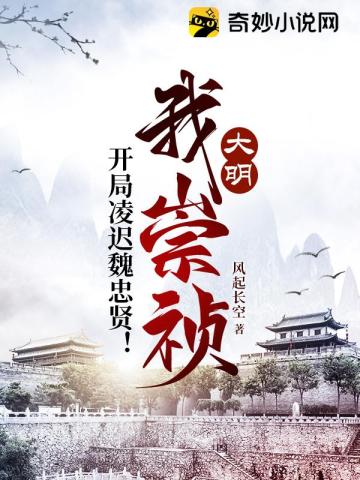 大明：我崇祯，开局凌迟魏忠贤！风起长空