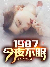 1987：今夜不眠房车齐全