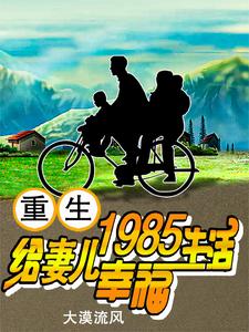 重生1985，给妻儿幸福生活大漠流风