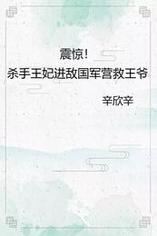 震惊！杀手王妃进敌国军营救王爷辛欣辛