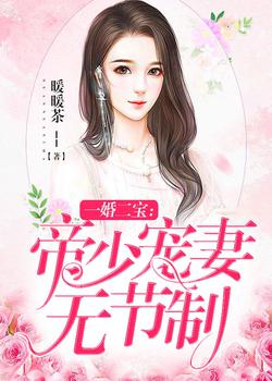 一婚二宝：帝少宠妻无节制暖暖茶